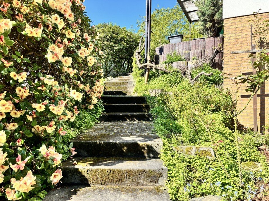 Garten Zweifamilienhaus Herford