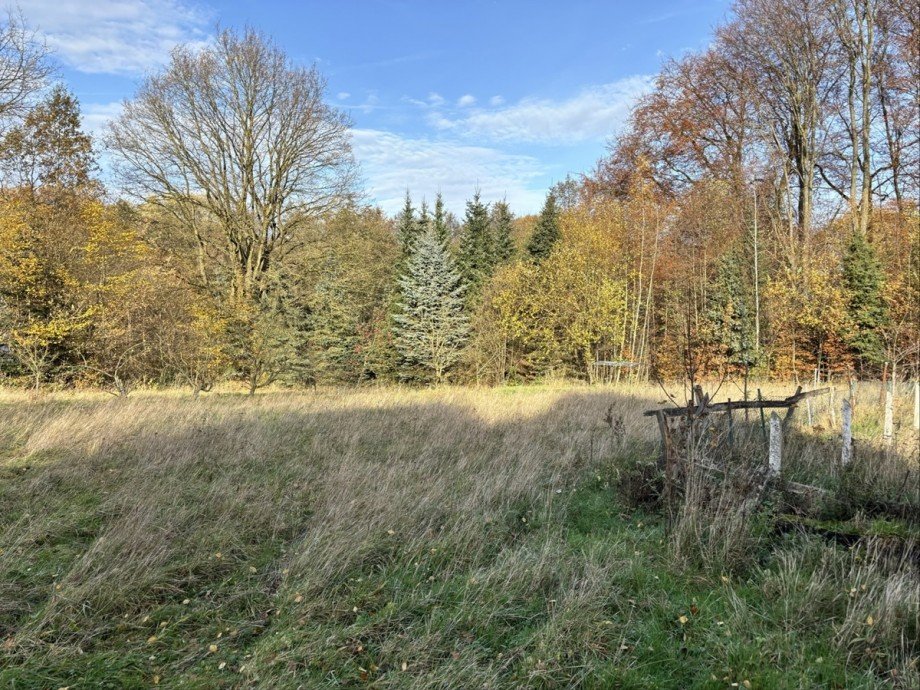 Grundst�ck 1 Einfamilienhaus Herford