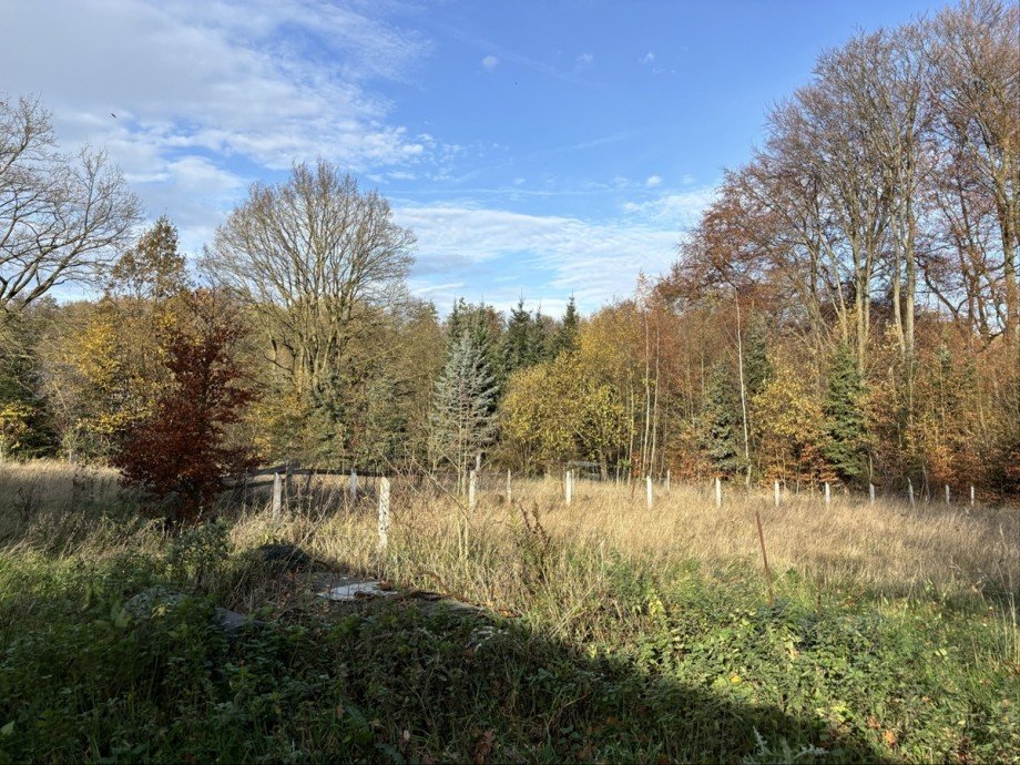 Grundst�ck 2 Einfamilienhaus Herford